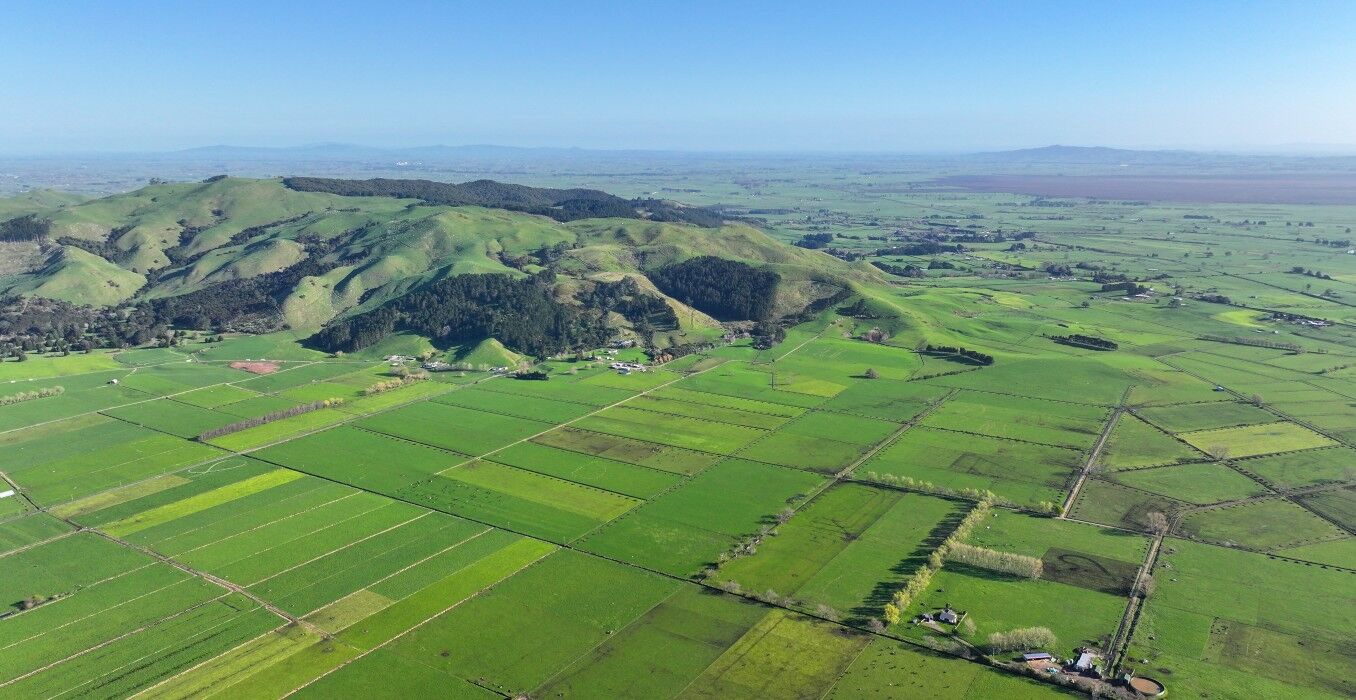 181-Thorp-Road,-Paeroa---hero-1356x700.jpg