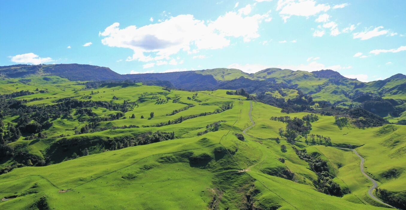 748-Heays-Access-Road,-Tutira-1356x700.jpg