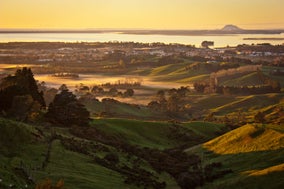 Bay-of-plenty.jpeg