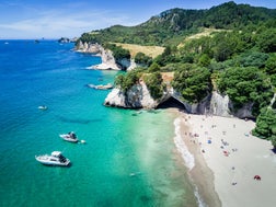 Coromandel-Home.jpg