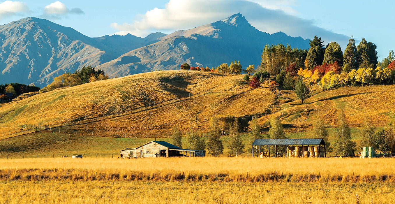 Country-Autumn-2025-Welcome-1356x700.jpg