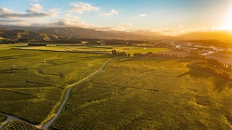 marlborough-banner.jpg