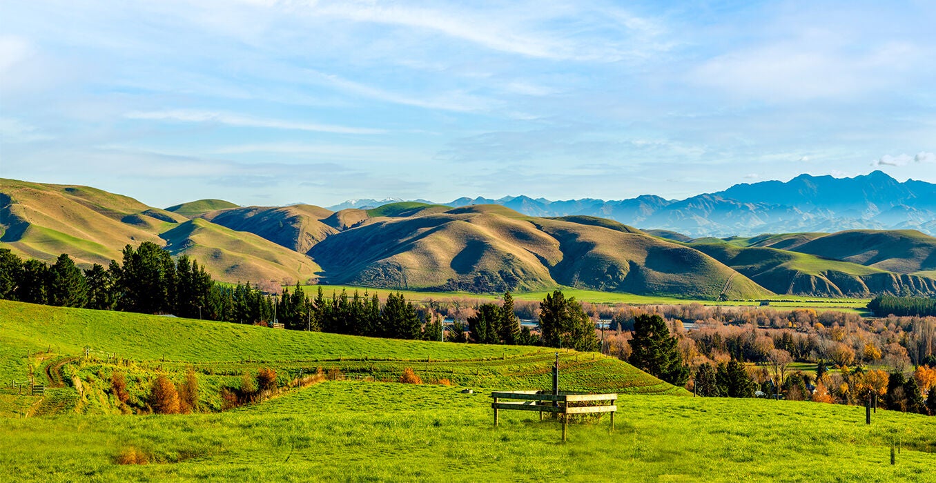 Pastoral-options-provide-strategic-opportunities---Hero.jpg