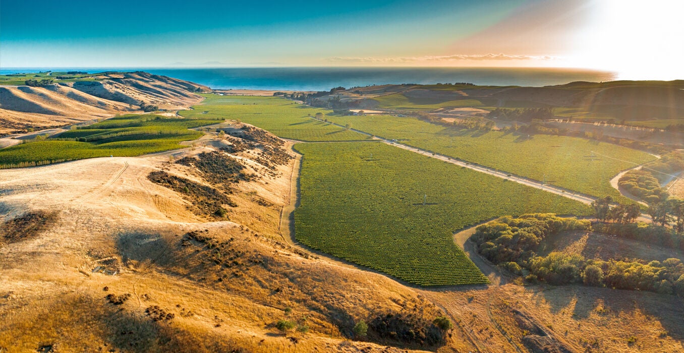 RI-Viticulture-June-2025-1356x700.jpg
