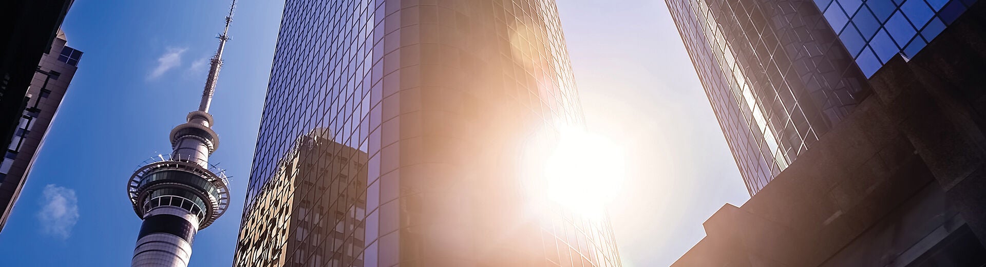 SY2415-Capital-Markets-Header-1920x520.jpg